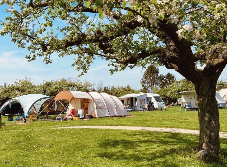 0 country estate the orchard camping 43