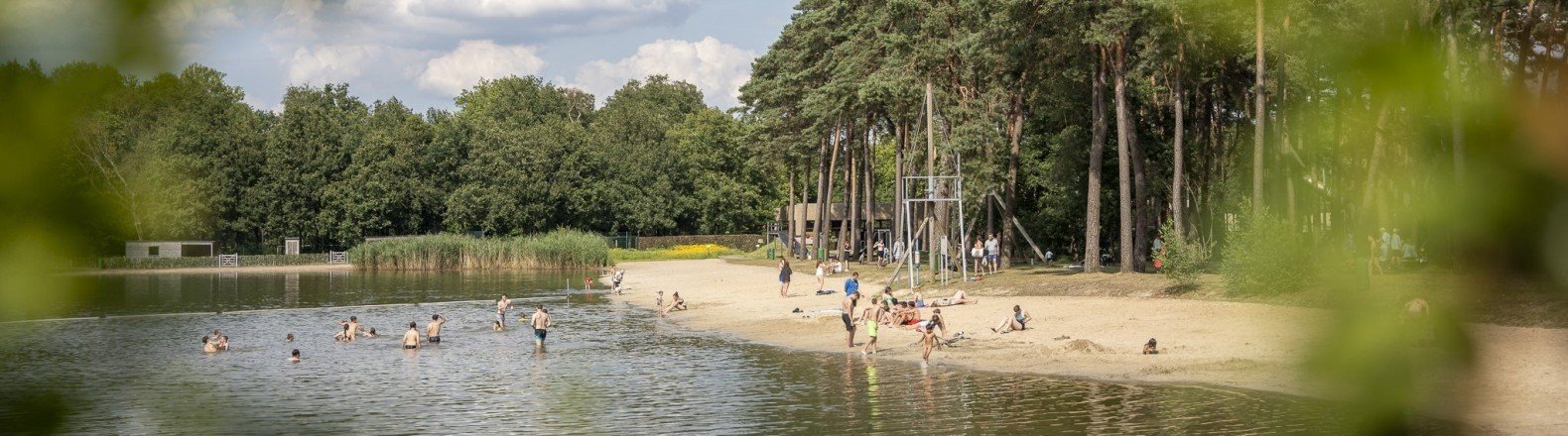 Banner prosuco web 5