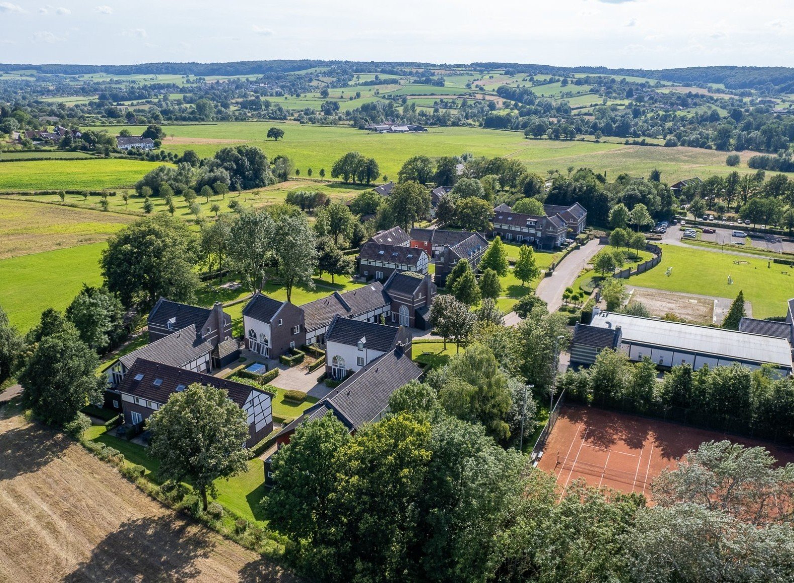 Leading with vision, growing with insight