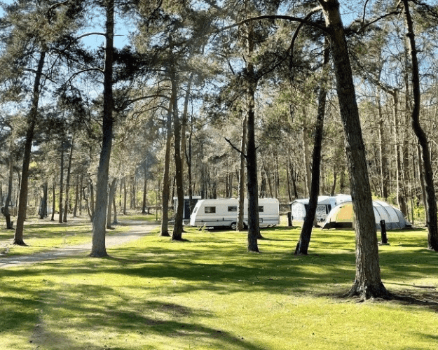 Portfolio prosuco poelman 1