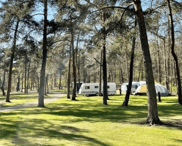 Portfolio prosuco poelman 1