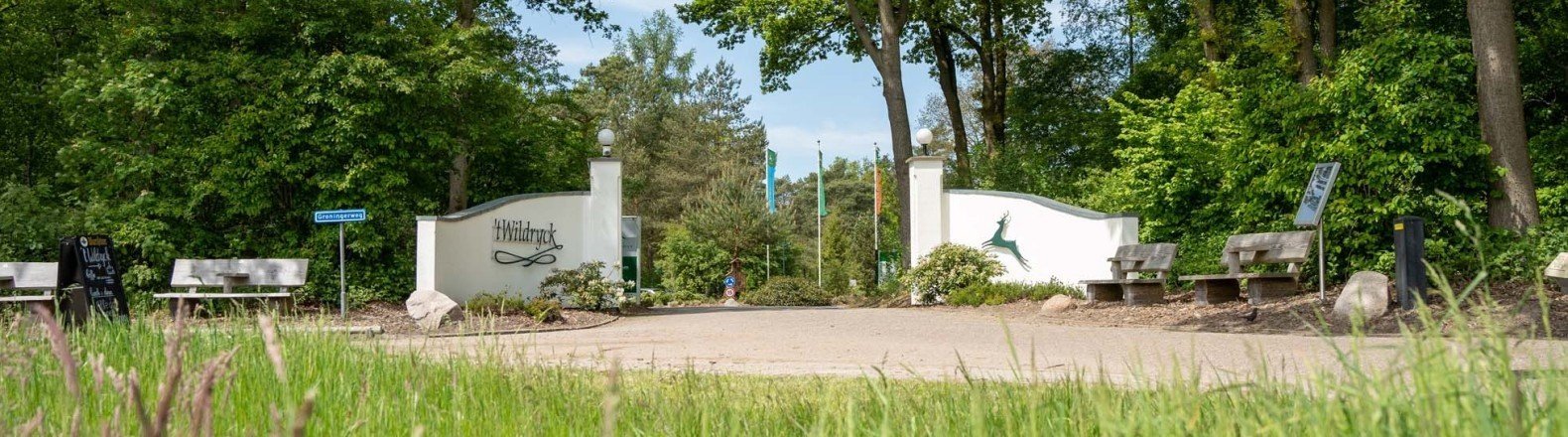 Wildryck prosuco 055