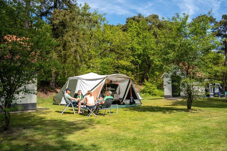 Wildryck prosuco 178